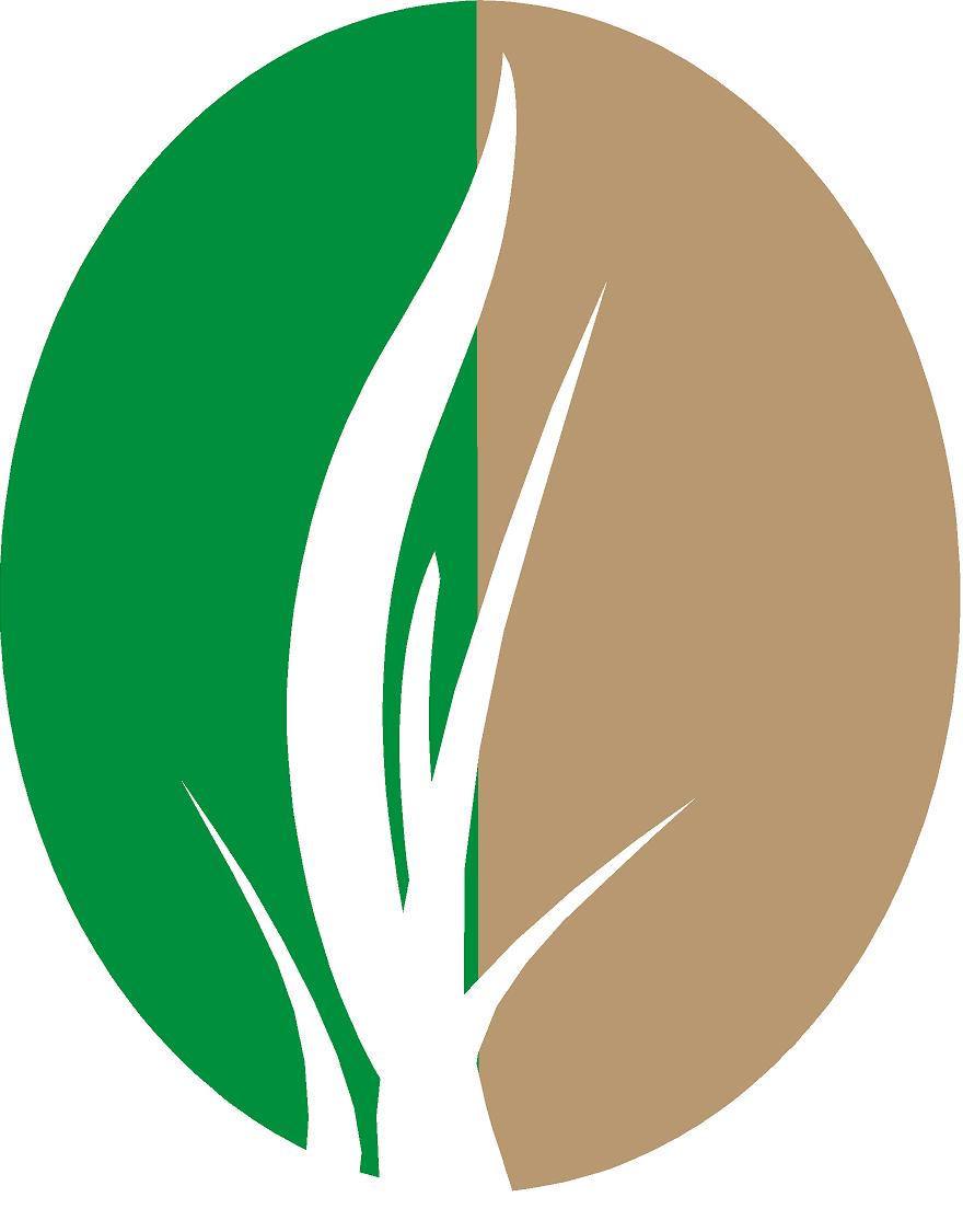 SLM Logo